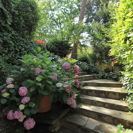 Liana Firenze